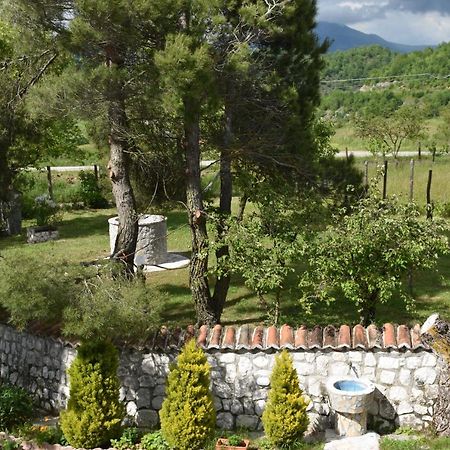 B&B Nel Verde Montesano sulla Marcellana 外观 照片