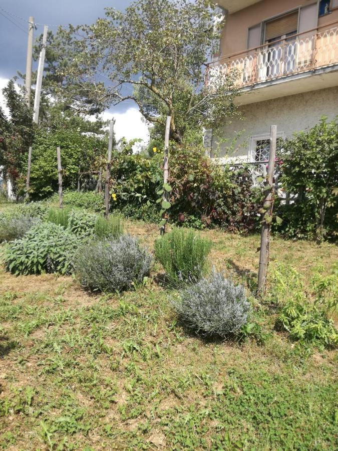 B&B Nel Verde Montesano sulla Marcellana 外观 照片