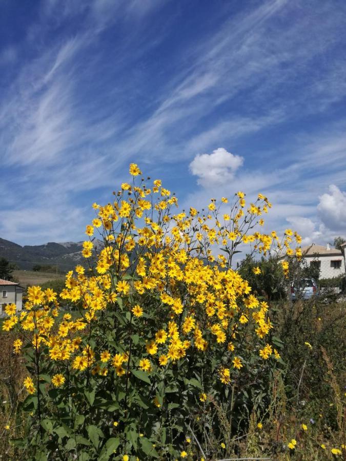 B&B Nel Verde Montesano sulla Marcellana 外观 照片