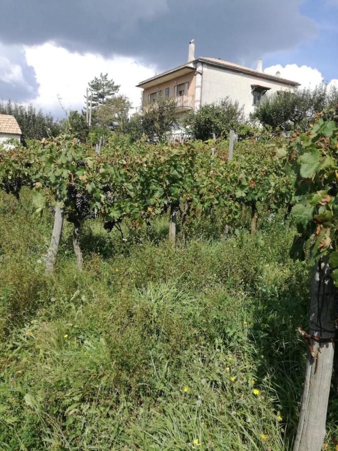 B&B Nel Verde Montesano sulla Marcellana 外观 照片