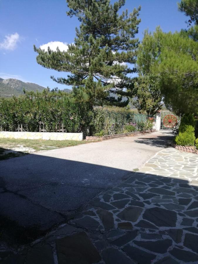 B&B Nel Verde Montesano sulla Marcellana 外观 照片
