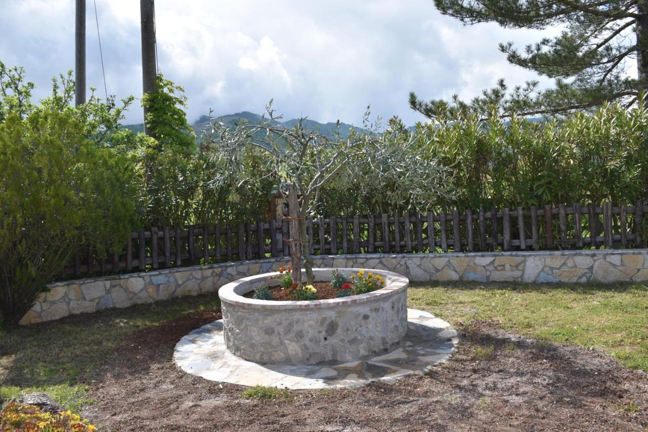 B&B Nel Verde Montesano sulla Marcellana 外观 照片