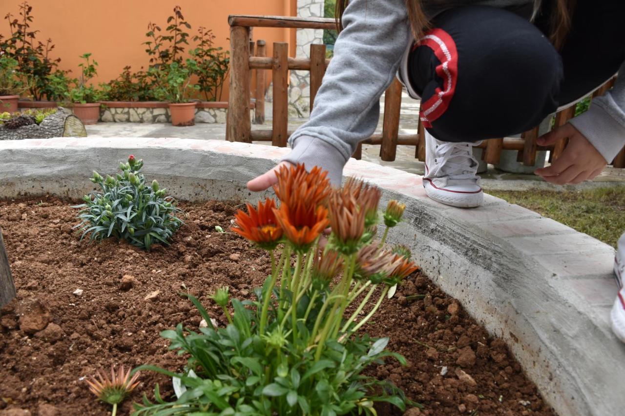 B&B Nel Verde Montesano sulla Marcellana 外观 照片