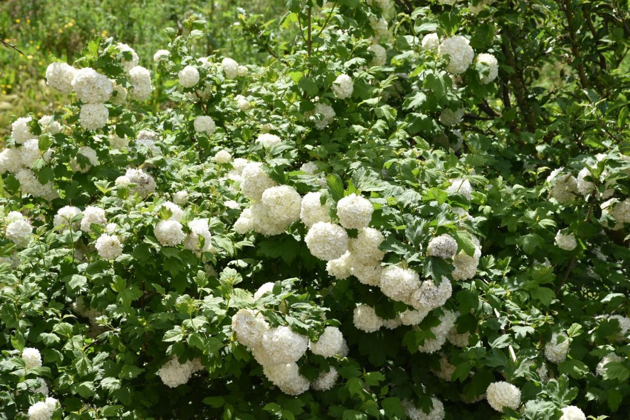 B&B Nel Verde Montesano sulla Marcellana 外观 照片