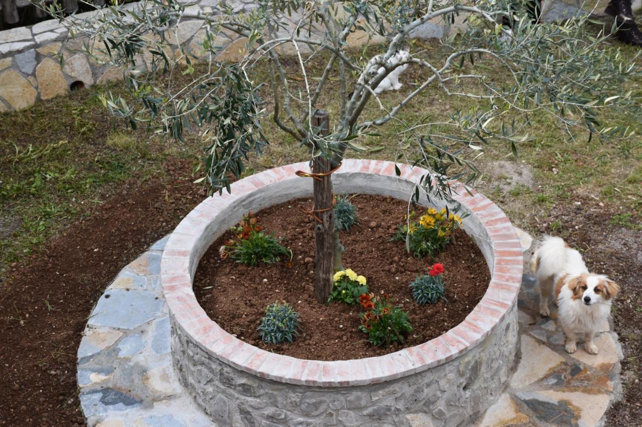 B&B Nel Verde Montesano sulla Marcellana 外观 照片