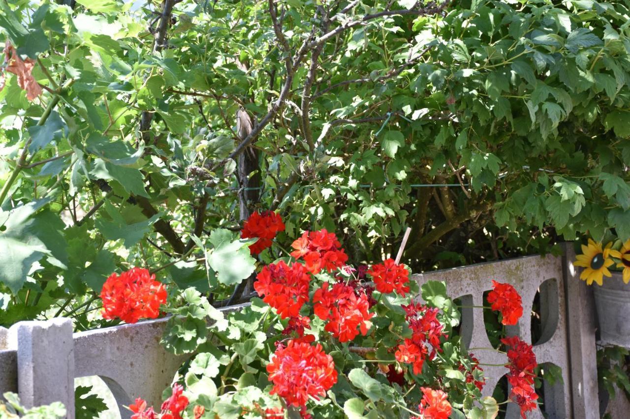 B&B Nel Verde Montesano sulla Marcellana 外观 照片