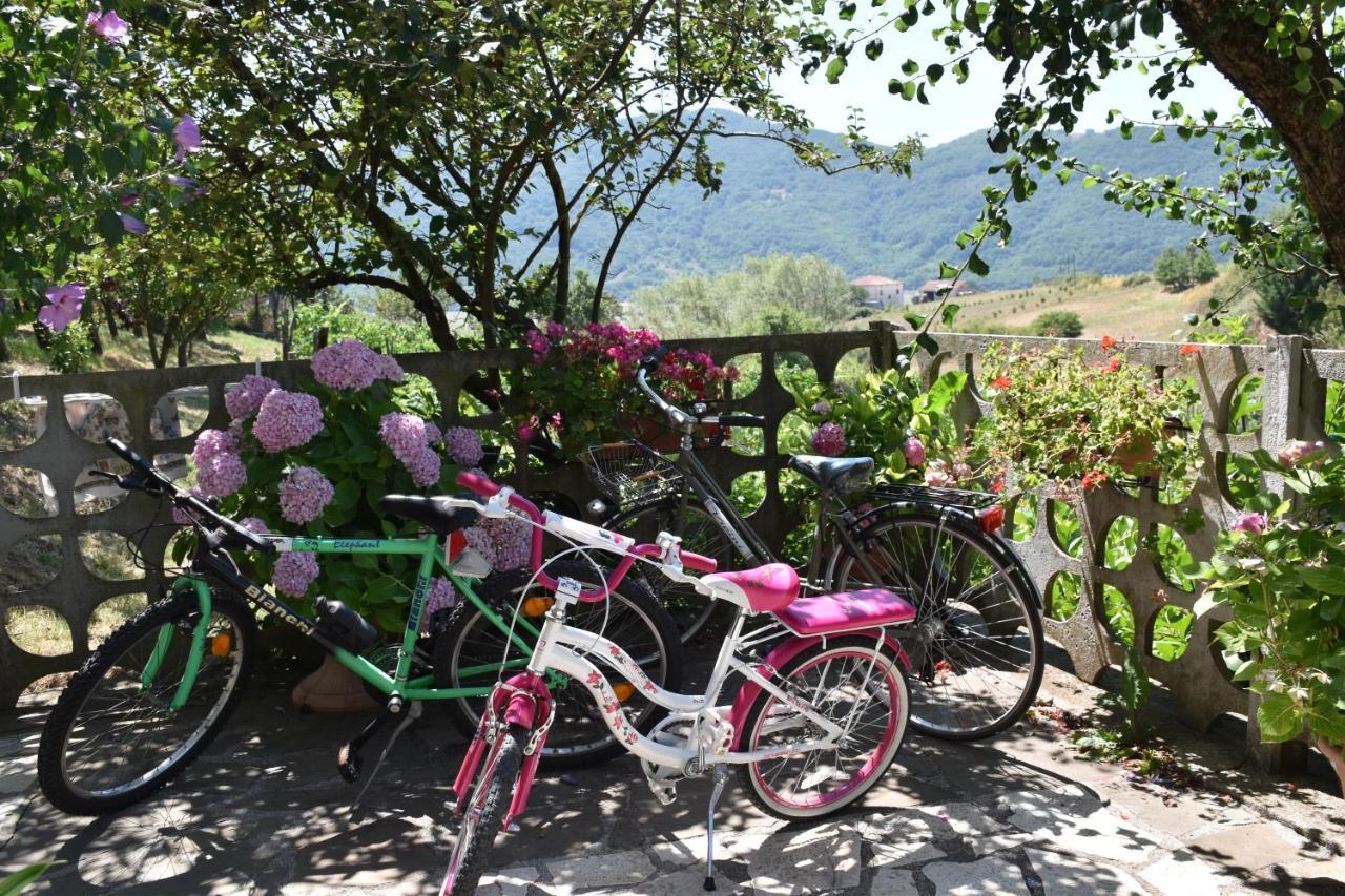B&B Nel Verde Montesano sulla Marcellana 外观 照片